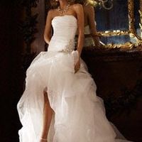 David's Bridal Brides - POST PICS OF YOUR DRESS!!!