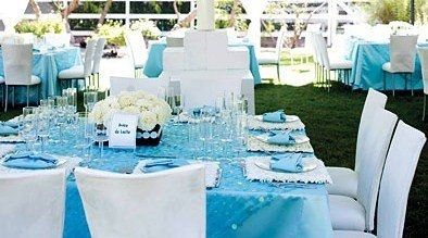 what are your wedding colors?