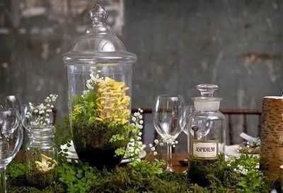 Rustic/Vintage Center Pieces ideas?