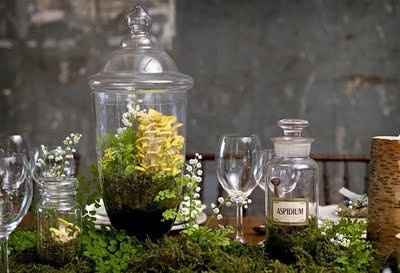 Rustic/Vintage Center Pieces ideas?