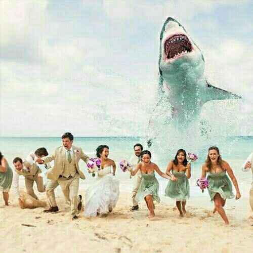 IMO Awesomely funny Wedding pic!