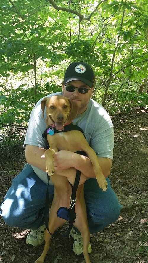 Puppies, puppies, and more puppies!!!