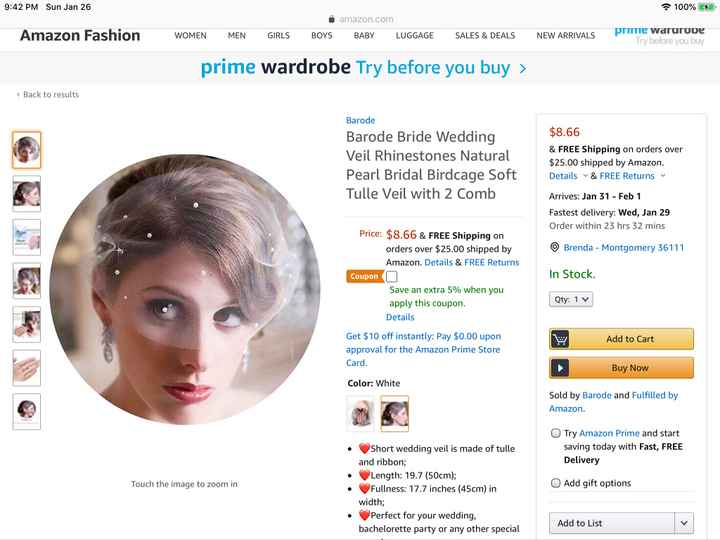 diy Vintage Veil - 1