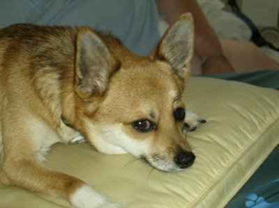 Who the heck does this??