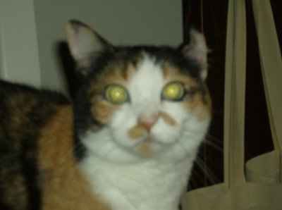 Who the heck does this??