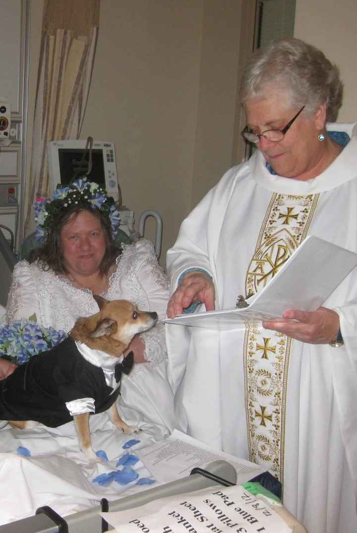 dan and violet's wedding pics