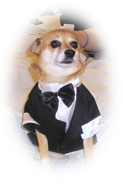 dan and violet's wedding pics