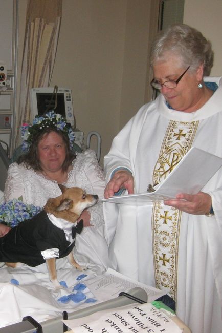 dan and violet's wedding pics