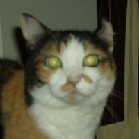 Who the heck does this??