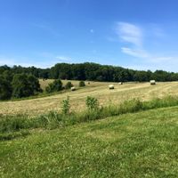 BA BA BA BAMMM (Mini, non-pro)