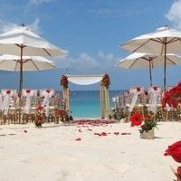 Beach Brides...share your experience or plans.