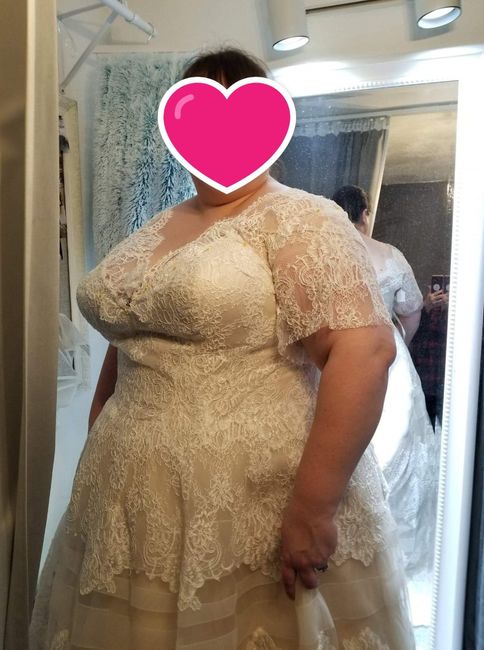 Plus Size dress tips needed - 1