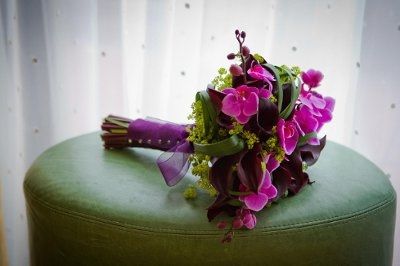 Purple Flowers