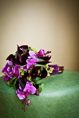Purple Flowers