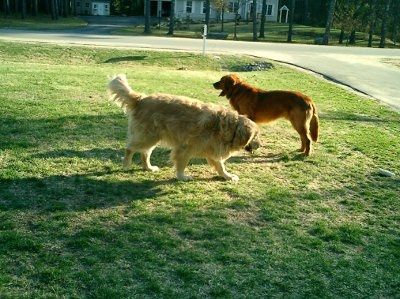 need help settling a looooong argument (NWR)