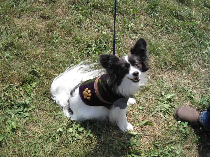Keeping my mind of my wedding...Show me your dog:)!!**Pics