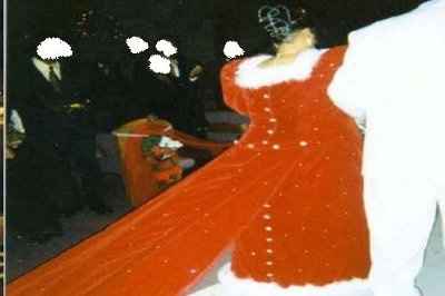 crazy xmas wedding attire...