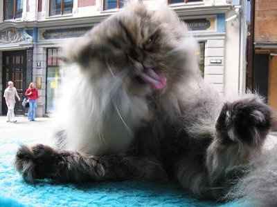 Friday Fun Picture Post