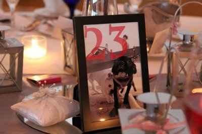 Are you (did you) including your pet/fur-baby in your wedding?