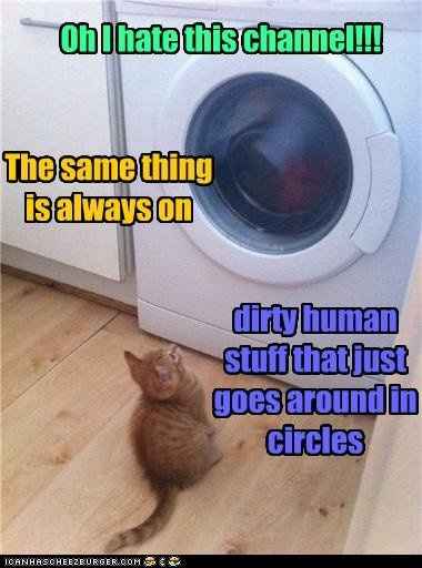 NWR What's your most dreaded chore?