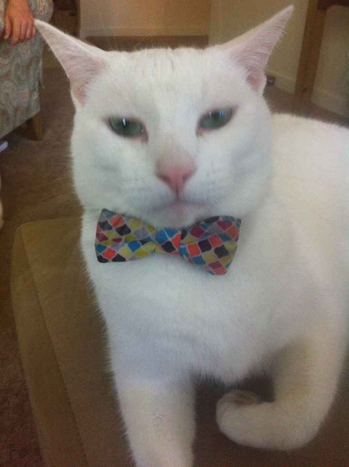 We havent had a pet post in a minute.