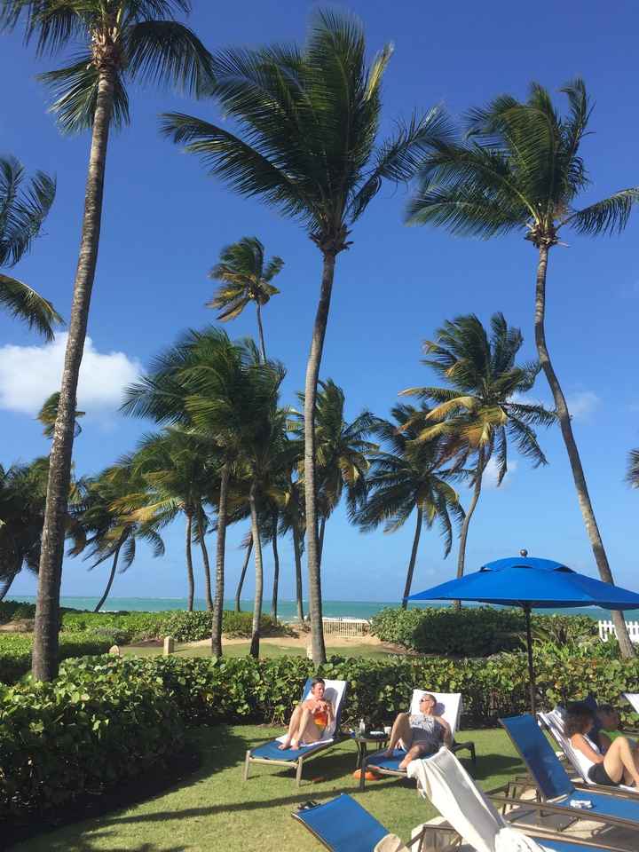 Show Us Your Honeymoon! *pics*