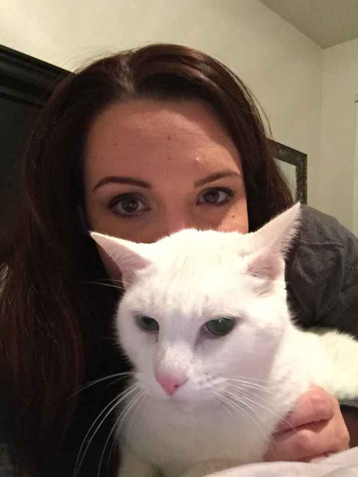 Sick and need cheering up--show me your Fur babies!