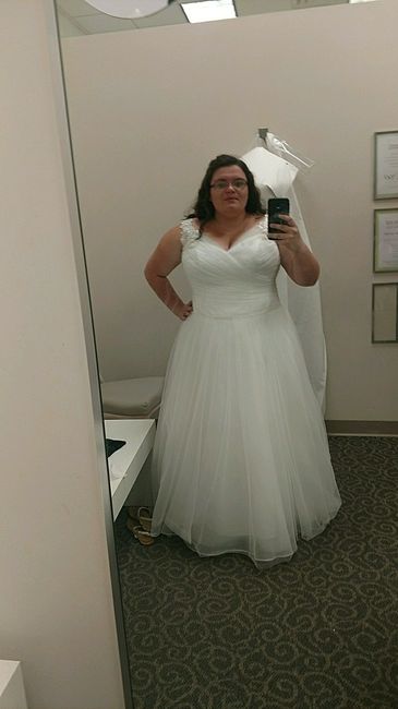 Davids bridal wedding dresses....