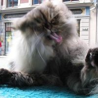 Friday Fun Picture Post