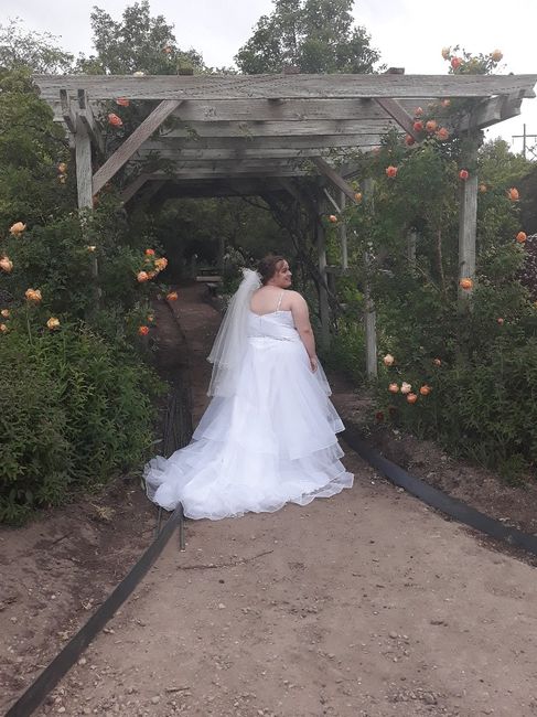 i found my dress!!!! i would love to see pictures of everyone else's!!! - 1