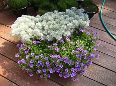 Show me your centerpiece.