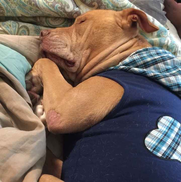 Whose helping you WW!?!