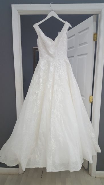 Have you said YES to the DRESS?