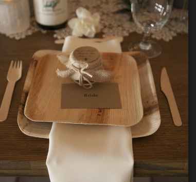 table setting with disposable plates