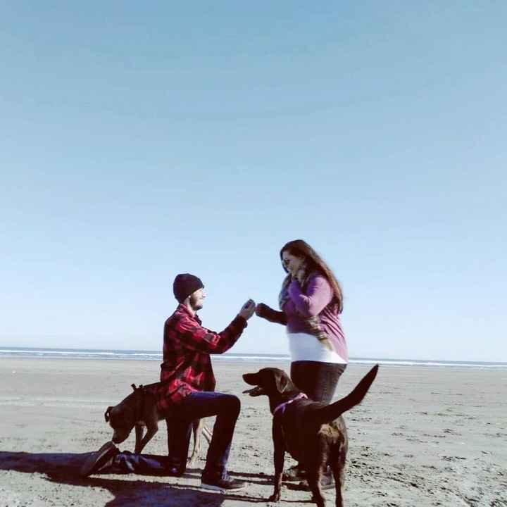 Proposal