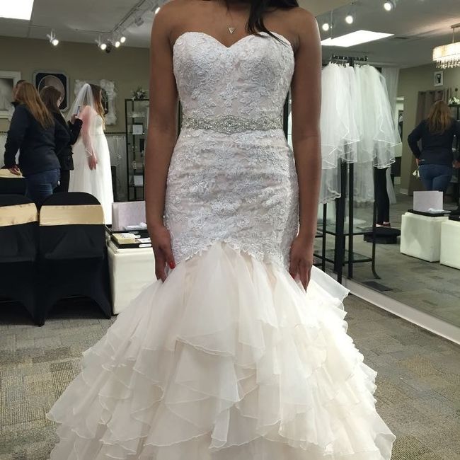 THE DRESS