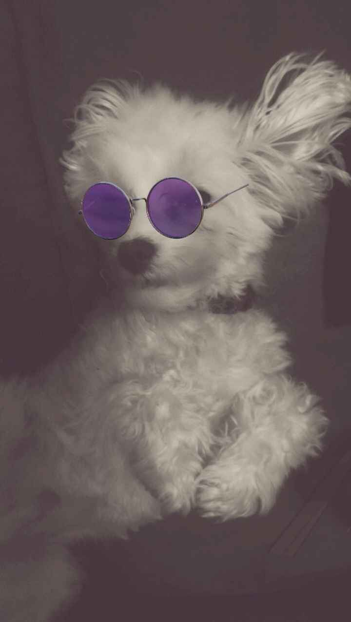 NWR: Show me your pups!