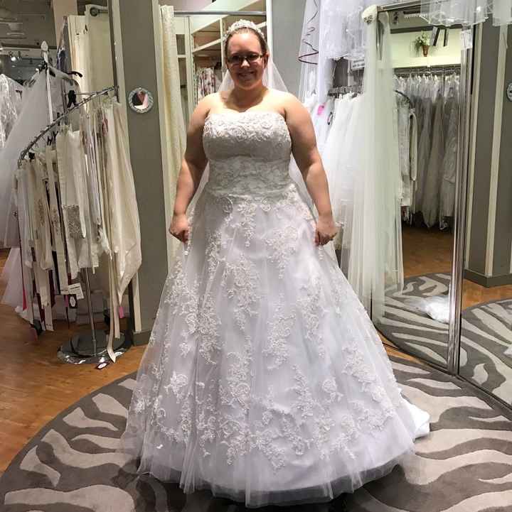 Let Me See Your Dresses: Plus Size Edition