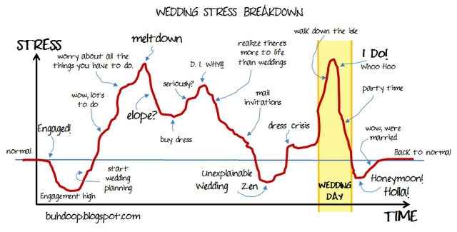 Wedding stress graph..... any one else relate??