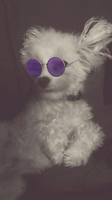 NWR: Show me your pups!