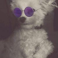 NWR: Show me your pups!