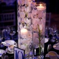 Need ideas for my centerpieces