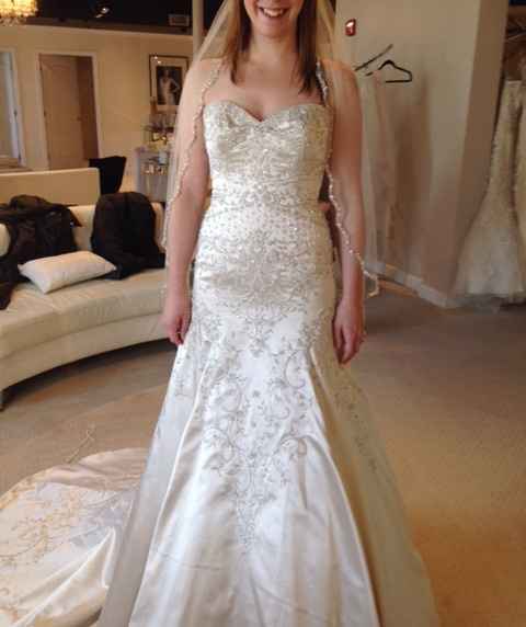 Can't Decide if the Dress is Too Much