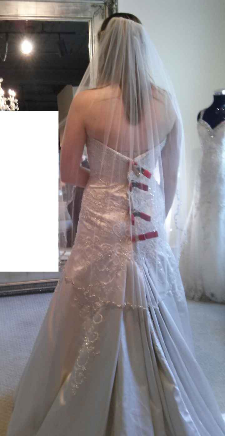Can't Decide if the Dress is Too Much