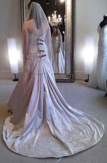Can't Decide if the Dress is Too Much