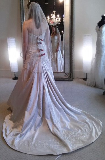 Can't Decide if the Dress is Too Much