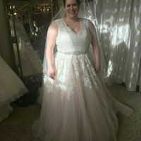 Intro post/ dress opinions