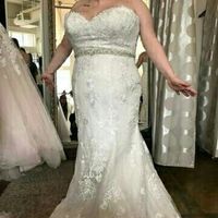 Any size 12/14 brides care to share?