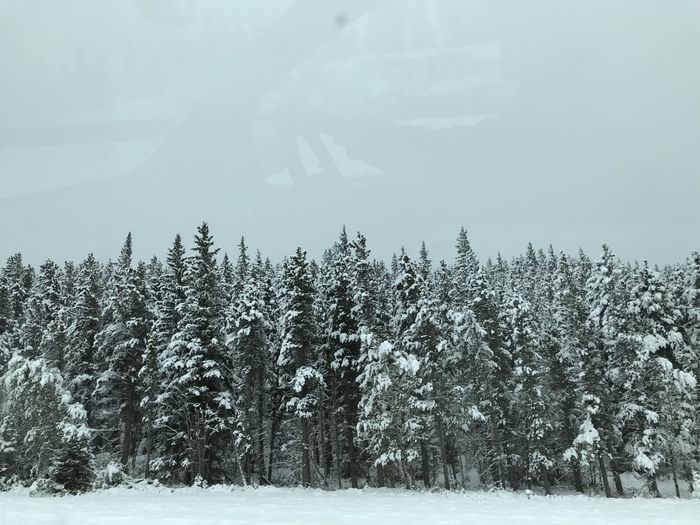 Snowy Honeymoon - 1