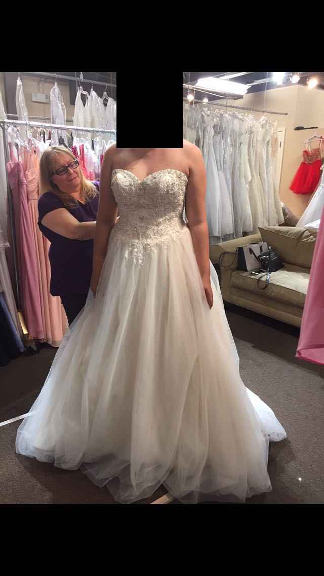  First Round Dress Shopping! - 2
